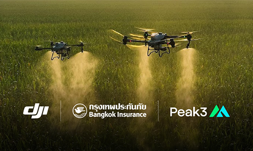 กรุงเทพประกันภัยจับมือ DJI และ Peak3 มอบประกันภัยโดรนการเกษตร